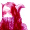 Yuri.O / リリヲ's profile picture