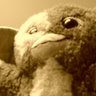 Profilbild von ムキュン