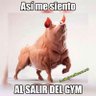 julio's profile picture