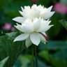 Фото профиля 舒浅