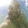 Denis Akgun's profile picture