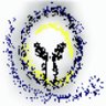 Paul Hopkinson's profile picture