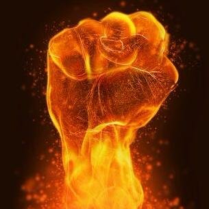 Pronoik's profile picture