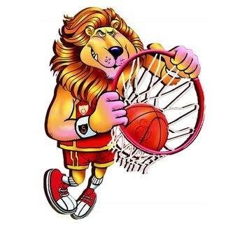 Galatasaray Basketbol & Voleybol's profile picture