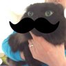 Profilbild von Probably not a Cat.