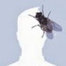 Jim🇵🇸(my ocd has adhd)'s profile picture