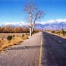 Фото профиля The Long Road