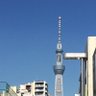 Фото профиля しゅうしゅ