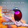 आर्यवर्त 的头像
