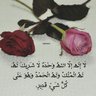 memooo's profile picture
