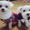 もこ's profile picture