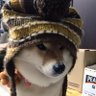 不二's profile picture