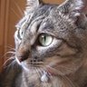 Profilbild von coco&pippa