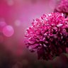 Фото профиля guilermo