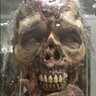 C. Scott Gregory's profile picture