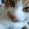 Фото профиля ★KOKI★