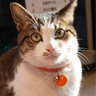 dora_nora's profile picture