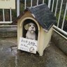 ふじけん 的头像