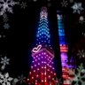 まコ's profile picture