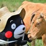 世间无物抵春愁 的头像