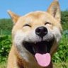 CachonDog's profile picture