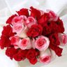 safy asiry's profile picture