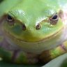 じょうかいぼん profil fotoğrafı