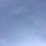 S1's profile picture