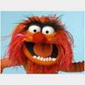Фото профиля Dt. Animal muppet
