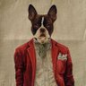 Derek Richter ⚒'s profile picture