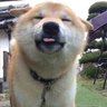 emprore04's profile picture