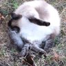 Profilbild von ppslb0