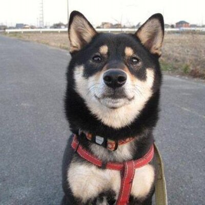 finecoolcan's profile picture