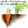 المستعين بالله's profile picture