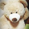 Profilbild von ブタのケツ