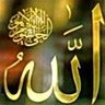 عبد الرحمن's profile picture