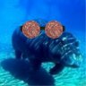 marinella's profile picture