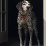 J TUCK's profile picture