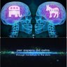 SocialScienceWarrior 的头像