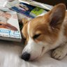 Profilbild von だいち