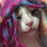 depresyon günlüğüm profil fotoğrafı