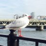 いーさん 的头像