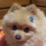manami profil fotoğrafı