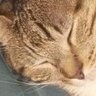 Estela's profile picture