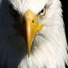 AnTONIo's profile picture