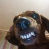 AlexS's profile picture