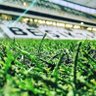 BEŞİKTAŞ's profile picture