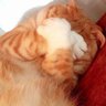 Сослан Сакмайдиков's profile picture
