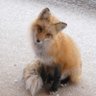 こん.2 profil fotoğrafı