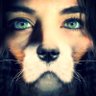 Profilbild von ★Branelli